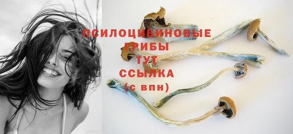каннабис Арсеньев